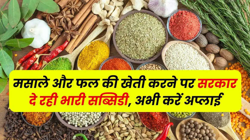 Government is giving huge subsidy on cultivation of spices and fruits